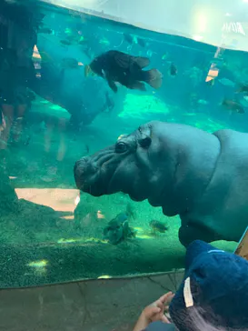 天王寺動物園に投稿された画像（2021/10/3）