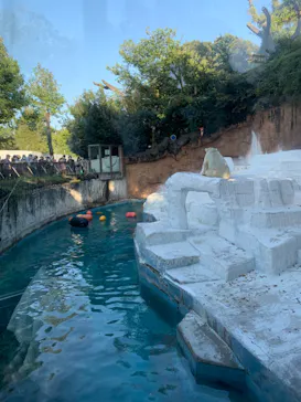 天王寺動物園に投稿された画像（2021/10/3）