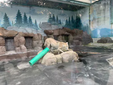 天王寺動物園に投稿された画像（2021/10/3）