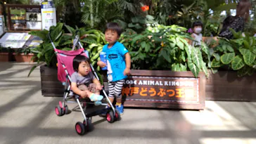 神戸どうぶつ王国に投稿された画像（2021/10/3）