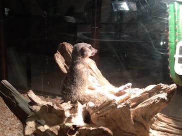 Moff animal world MARK IS みなとみらい店に投稿された画像（2021/10/3）