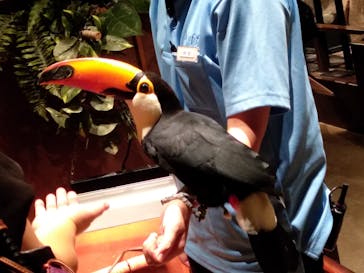 Moff animal world MARK IS みなとみらい店に投稿された画像（2021/10/3）