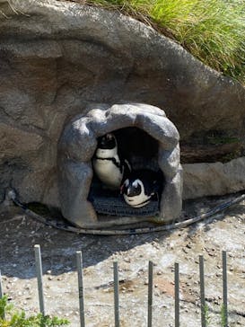 サンシャイン水族館に投稿された画像（2021/10/3）