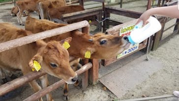 那須高原りんどう湖ファミリー牧場に投稿された画像（2021/10/3）