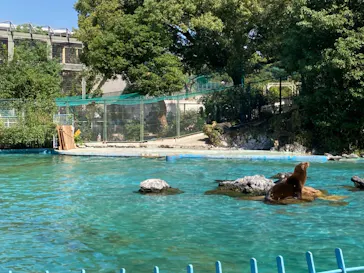 天王寺動物園に投稿された画像（2021/10/3）