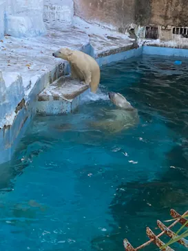 天王寺動物園に投稿された画像（2021/10/3）