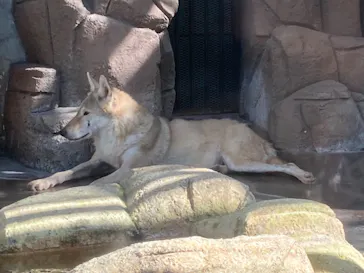 天王寺動物園に投稿された画像（2021/10/3）