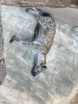 天王寺動物園に投稿された画像（2021/10/3）