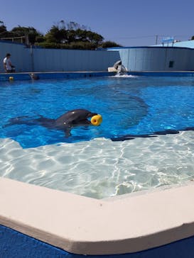 南知多ビーチランド＆南知多おもちゃ王国に投稿された画像（2021/10/3）