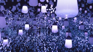 森ビル デジタルアート ミュージアム：エプソン チームラボボーダレスに投稿された画像（2021/10/3）