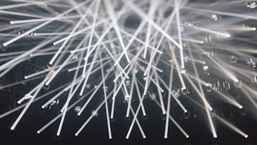 森ビル デジタルアート ミュージアム：エプソン チームラボボーダレスに投稿された画像（2021/10/3）