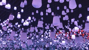 森ビル デジタルアート ミュージアム：エプソン チームラボボーダレスに投稿された画像（2021/10/3）