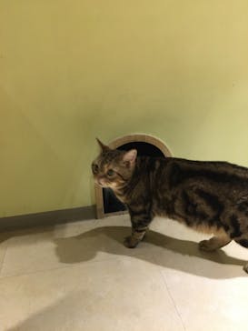 Moff animal world MARK IS みなとみらい店に投稿された画像（2021/10/3）