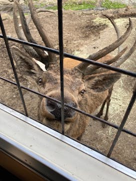 那須サファリパークに投稿された画像（2021/10/3）