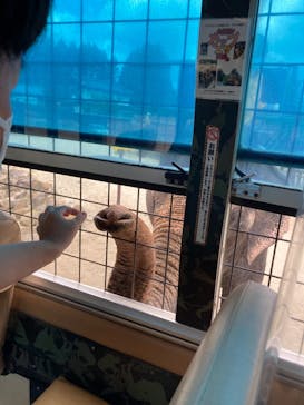 那須サファリパークに投稿された画像（2021/10/3）