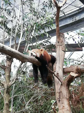 神戸どうぶつ王国に投稿された画像（2021/10/3）