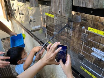 群馬サファリパークに投稿された画像（2021/10/3）