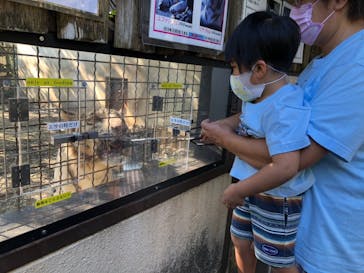 群馬サファリパークに投稿された画像（2021/10/3）