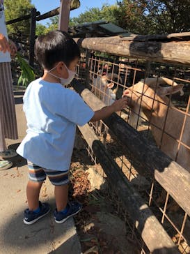 群馬サファリパークに投稿された画像（2021/10/3）