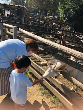 群馬サファリパークに投稿された画像（2021/10/3）