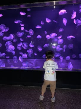 伊豆・三津シーパラダイスに投稿された画像（2021/10/3）