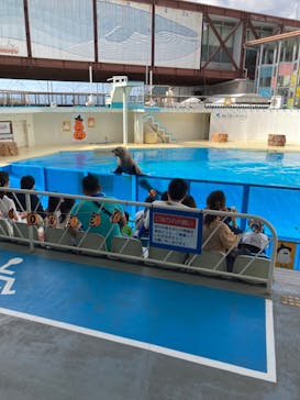 伊豆・三津シーパラダイスに投稿された画像（2021/10/3）