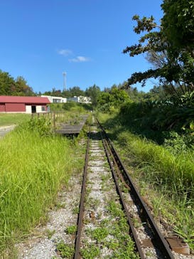 ネオパークオキナワに投稿された画像（2021/10/3）