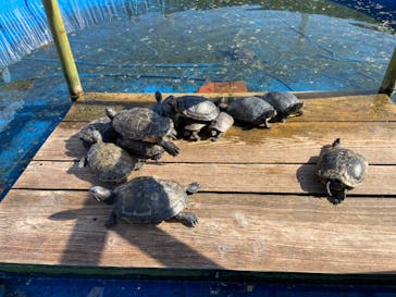 ネオパークオキナワに投稿された画像（2021/10/3）