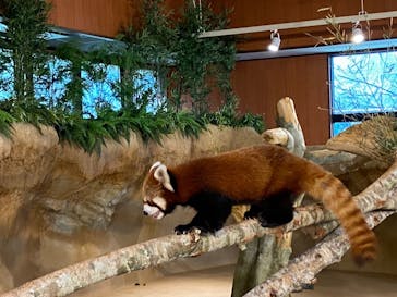 ネオパークオキナワに投稿された画像（2021/10/3）