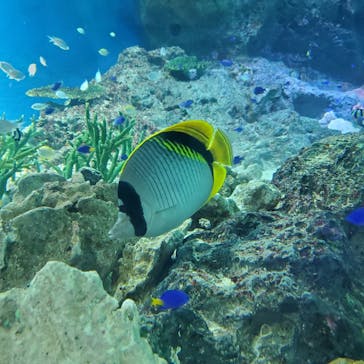 マクセル アクアパーク品川に投稿された画像（2021/10/3）