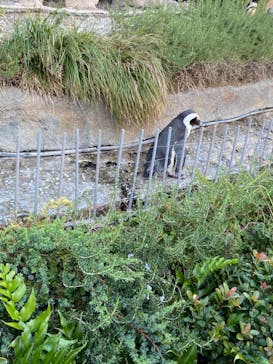 サンシャイン水族館に投稿された画像（2021/10/3）
