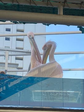 サンシャイン水族館に投稿された画像（2021/10/3）