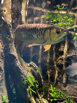 サンシャイン水族館に投稿された画像（2021/10/3）