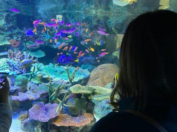 サンシャイン水族館に投稿された画像（2021/10/3）