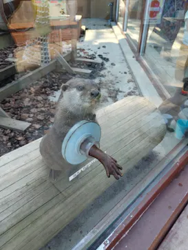 横浜・八景島シーパラダイスに投稿された画像（2021/10/3）