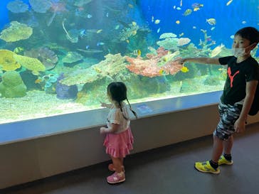 しながわ水族館に投稿された画像（2021/10/3）