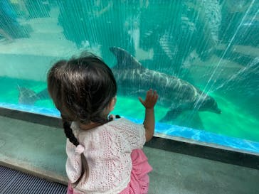 しながわ水族館に投稿された画像（2021/10/3）