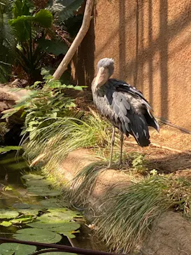 神戸どうぶつ王国に投稿された画像（2021/10/3）