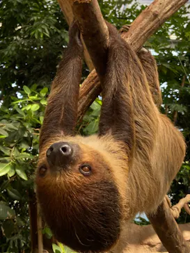 神戸どうぶつ王国に投稿された画像（2021/10/3）