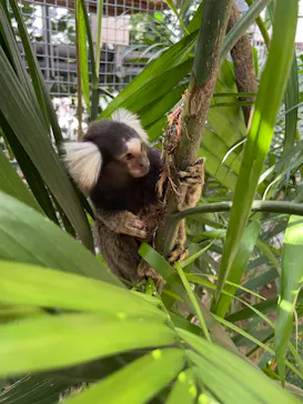 神戸どうぶつ王国に投稿された画像（2021/10/3）