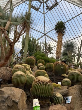 伊豆シャボテン動物公園に投稿された画像（2021/10/3）