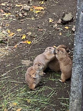伊豆シャボテン動物公園に投稿された画像（2021/10/3）
