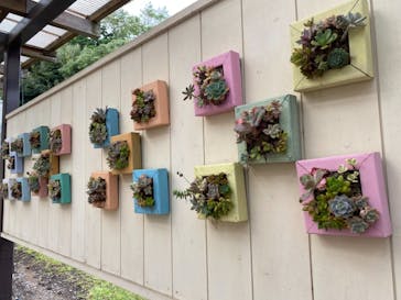 伊豆シャボテン動物公園に投稿された画像（2021/10/3）