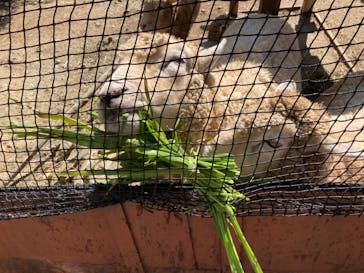 群馬サファリパークに投稿された画像（2021/10/3）