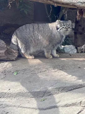 神戸どうぶつ王国に投稿された画像（2021/10/3）