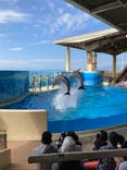 新江ノ島水族館に投稿された画像（2021/10/4）