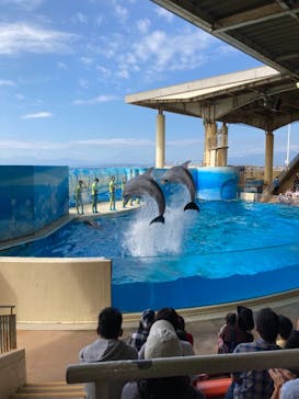 新江ノ島水族館に投稿された画像（2021/10/3）