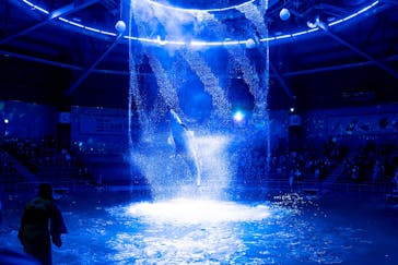 マクセル アクアパーク品川に投稿された画像（2021/10/3）