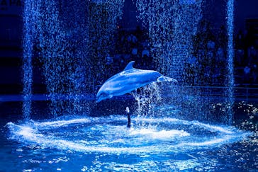 マクセル アクアパーク品川に投稿された画像（2021/10/3）