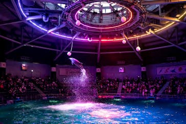 マクセル アクアパーク品川に投稿された画像（2021/10/3）